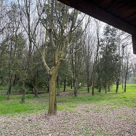 Green Woods เวโรนา ภายนอก รูปภาพ