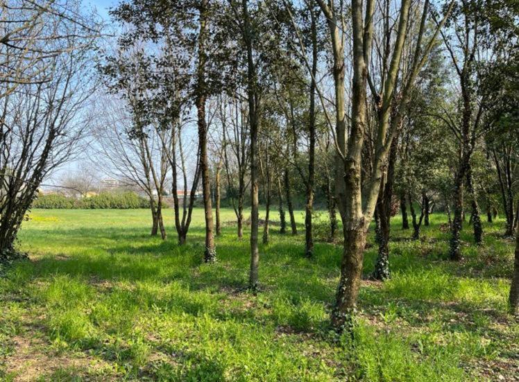 Green Woods เวโรนา ภายนอก รูปภาพ