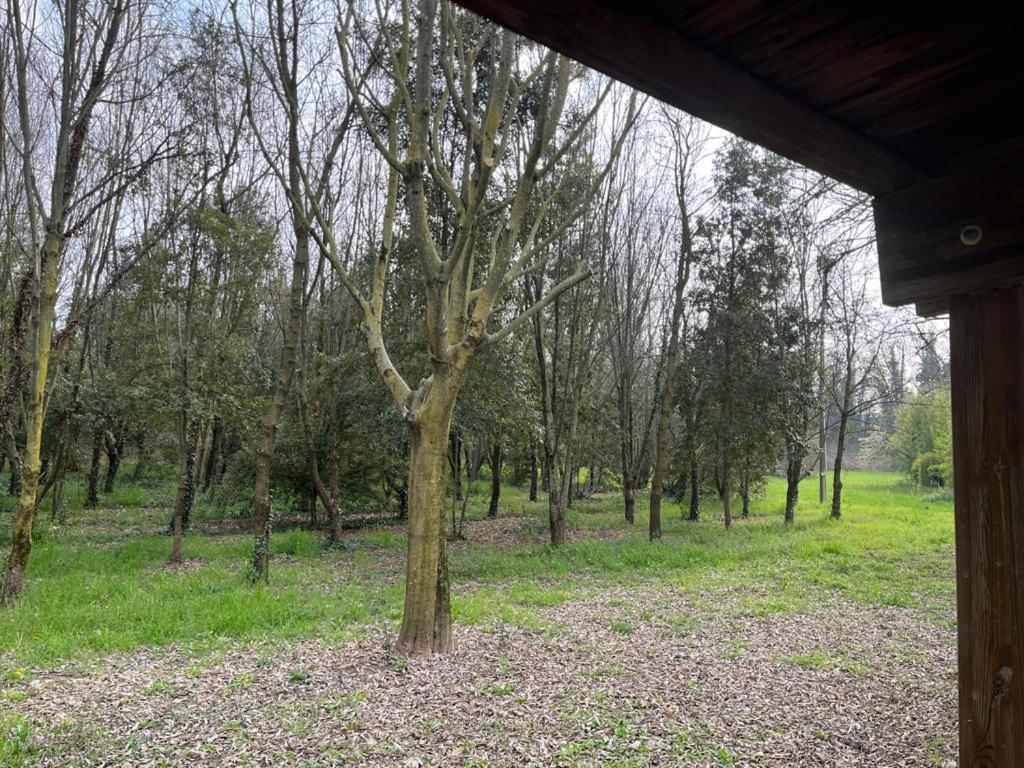 Green Woods เวโรนา ภายนอก รูปภาพ